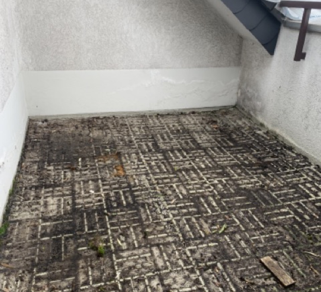 Foto 16.03.2023 10.11.15